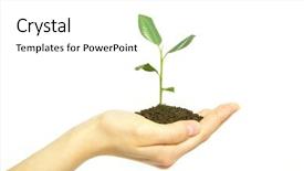  Presentation with hands holding a tree - Theme enhanced with hands holding sapling in soil background and a white colored foreground