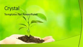  Presentation with soil - Audience pleasing theme consisting of hands holding sapling in soil backdrop and a mint green colored foreground