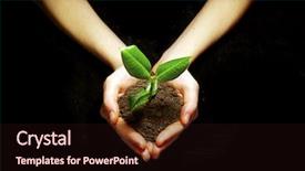  Presentation with black wedding holding hands - Slide deck featuring hands holding sapling in soil background and a wine colored foreground