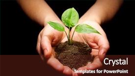  Presentation with hands holding - Presentation theme having hands holding sapling in soil background and a tawny brown colored foreground
