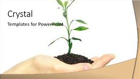  Presentation with hand holding plant - Beautiful PPT theme featuring hands holding sapling in soil backdrop and a white colored foreground