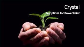  Presentation with holding hands - PPT theme consisting of hands holding sapling in soil background and a  colored foreground