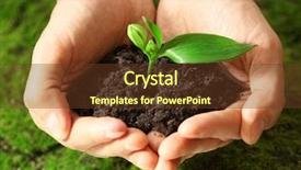  Presentation with hand holding plant - Theme having hands holding soil and plant background and a  colored foreground