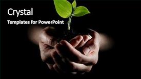  Presentation with young plant - Beautiful PPT theme featuring hands holding young plant backdrop and a black colored foreground