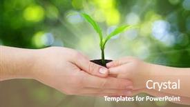  Presentation with mother child - Audience pleasing PPT theme consisting of hands of a child taking backdrop and a coral colored foreground