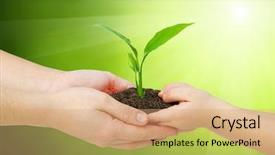  Presentation with mother child - Amazing presentation having hands of a child taking backdrop and a coral colored foreground