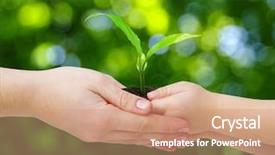 Presentation with mother child - PPT theme with hands of a child taking background and a coral colored foreground