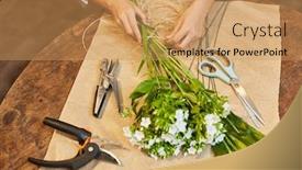  Presentation with flowers - Presentation theme featuring hands-of-a-florist background and a coral colored foreground