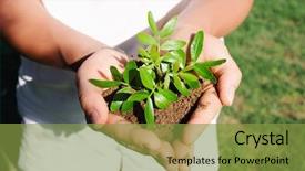  Presentation with sprout - Amazing PPT layouts having hands of a young girl backdrop and a gold colored foreground