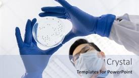  Presentation with lab bacteria - Amazing presentation design having hands-of-gloved-and-masked backdrop and a light blue colored foreground