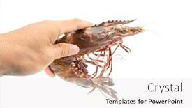  Presentation with holding hands - Presentation design enhanced with hands-of-men-are-holding background and a white colored foreground