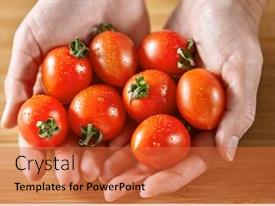 Hands Of The Girl Hold PPT template 16 | CrystalGraphics