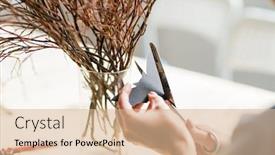  Presentation with halloween bat - PPT theme with hands of woman cutting paper bat with scissors to decorate dry branches in glass while preparing home for halloween party background and a coral colored foreground