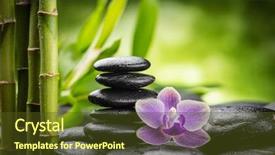  Presentation with zen stones - Presentation consisting of hands pebble - zen basalt stones orchid background and a tawny brown colored foreground