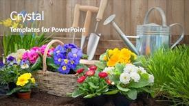  Presentation with flowers - Cool new slides with hands planting flowers in pot backdrop and a coral colored foreground