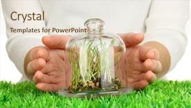  Presentation with glass - Audience pleasing slide set consisting of protecting environment - hands protect grass under glass backdrop and a light gray colored foreground