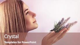  Presentation with gentle - PPT layouts having hands tender lavender flower background and a violet colored foreground