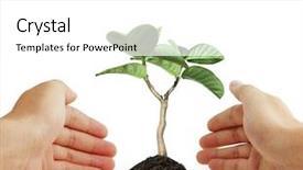  Presentation with tree roots - PPT theme enhanced with hands with a tree background and a  colored foreground