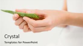  Presentation with aloe vera - Audience pleasing slide set consisting of hands with aloe vera backdrop and a sky blue colored foreground