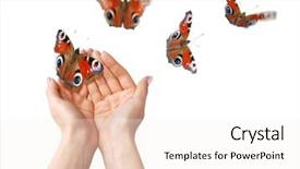  Presentation with free helping hand - Audience pleasing PPT theme consisting of hands with butterflies backdrop and a sky blue colored foreground