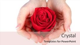  Presentation with patient and nurse holding hands - PPT theme consisting of hands with french manicure holding background and a coral colored foreground