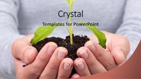  Presentation with plant growth - Cool new PPT layouts with hands with green plant growth backdrop and a lemonade colored foreground