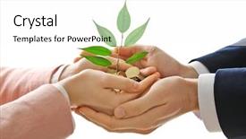  Presentation with sprouting plant - Colorful slide deck enhanced with hands with plant sprouting backdrop and a white colored foreground