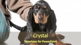  Presentation with tan - Slide set enhanced with handscoon - hands holding on to black background and a  colored foreground