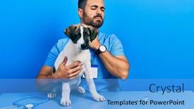  Presentation with veterinary - Presentation theme with handsome-hispanic-veterinary-man background and a teal colored foreground