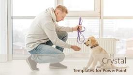  Presentation with leash - PPT layouts having handsome-man-holding-leash-near background and a lemonade colored foreground