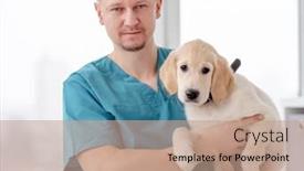  Presentation with vet - PPT layouts with handsome-vet-holding-healthy-young background and a coral colored foreground