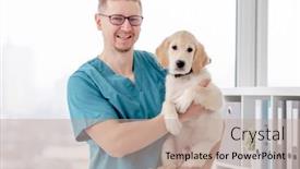  Presentation with vet - Theme having handsome-vet-holding-healthy-young background and a coral colored foreground