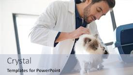  Presentation with vet - Colorful theme enhanced with handsome-vet-looking-at-beautiful backdrop and a light blue colored foreground