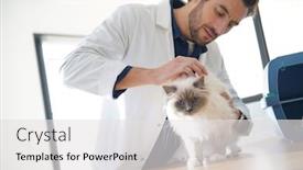  Presentation with vet - Presentation theme with handsome-vet-looking-at-beautiful background and a light gray colored foreground