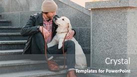  Presentation with outdoors - Slide set enhanced with handsome young hipster with dog outdoors background and a gray colored foreground