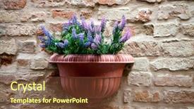 Presentation with brick wall - Beautiful presentation design featuring hanging basket flowers - flower pot with lavender plant backdrop and a tawny brown colored foreground