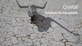  Presentation with head and neck anatomy - Cool new presentation theme with hanging death - bull head horns skeleton backdrop and a gray colored foreground