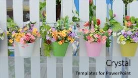  Presentation with flower pots - PPT theme enhanced with hanging flower pots with fence background and a light blue colored foreground