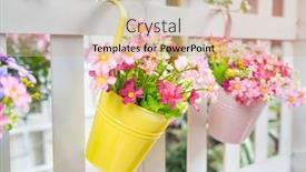  Presentation with flower pots - Audience pleasing presentation theme consisting of hanging-flower-pots-with-fence backdrop and a soft green colored foreground