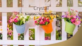  Presentation with flower pots - PPT layouts enhanced with hanging-flower-pots-with-fence background and a coral colored foreground