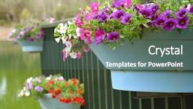  Presentation with flower pots - Cool new slides with hanging flower pots with fence backdrop and a gray colored foreground