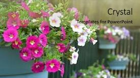  Presentation with flower pots - Theme having hanging flower pots with fence background and a mint green colored foreground