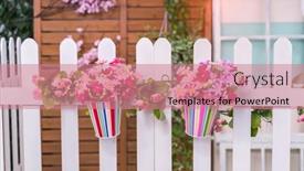  Presentation with flower pots - Cool new PPT theme with hanging-flower-pots-with-fence backdrop and a coral colored foreground