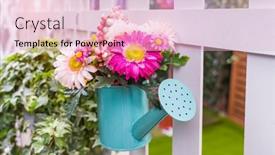  Presentation with flower pots - Presentation theme having hanging-flower-pots-with-fence background and a lemonade colored foreground
