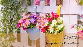  Presentation with flower pots - Slide set enhanced with hanging-flower-pots-with-fence background and a gold colored foreground