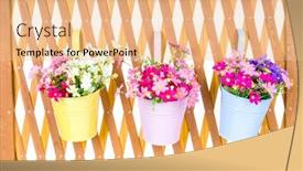  Presentation with flower pots - Amazing presentation design having hanging-flower-pots-with-fence backdrop and a lemonade colored foreground
