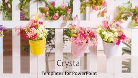  Presentation with flower pots - Beautiful slide set featuring hanging-flower-pots-with-fence backdrop and a lemonade colored foreground