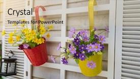  Presentation with flower pots - Colorful PPT theme enhanced with hanging flower pots with fence backdrop and a soft green colored foreground