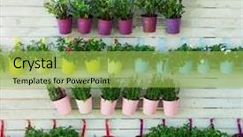  Presentation with flower pots - Slide deck enhanced with hanging flower pots with fence background and a yellow colored foreground