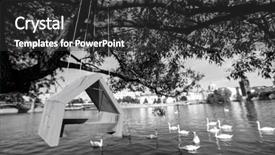  Presentation with tree river - PPT theme enhanced with hanging from tree over river background and a dark gray colored foreground